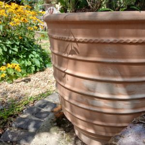 Hand thrown terracotta pot - Exara