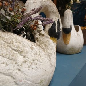 French swans (pair)